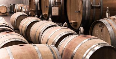 Evropska Unija finansira rekonstrukciju  Kraljeve vinarije u Topoli