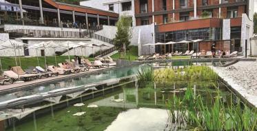 Biološki bazeni u harmoniji s prirodom: Opuštajuće mini oaze
