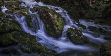 Pobednička fotografija Maje Stošić