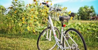Cikloturizam: Atraktivne deonice biciklističkih ruta u Vojvodini
