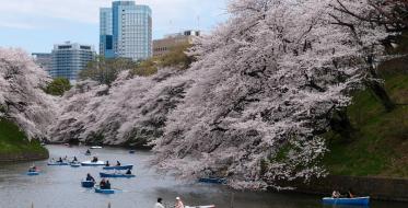 Tokio, foto: pixabay