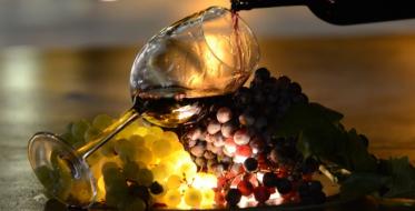 Vinska noć na Pjaci Starog mlina ‒ omaž seriji „Grlom u jagode“