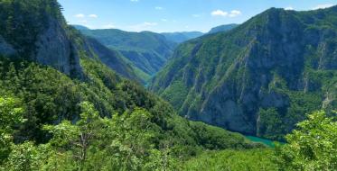 Tara, Mokra Gora, Photo by Dino Kajtez on Unsplash