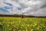 Foto: TO Zlatibor