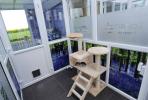 Foto: Longcroft Luxury Cat Hotel