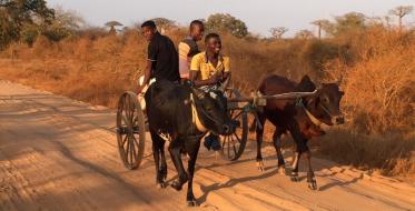 Madagaskar – zemlja jednostavnog života