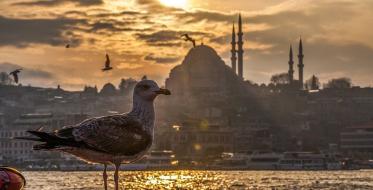 Turistička ponuda Srbije u Istanbulu