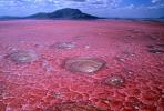 Jezero Natron, Tanzanija