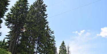 Leto puno izazova na Kopaoniku - Planina koja obećava avanturu