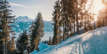 Ski centar Rostovo bez gostiju – vlasnik zabranio alkohol