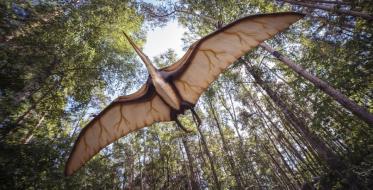 Otvara se Dino park na Zlatiboru (FOTO)