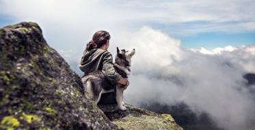 Spore avanture: Pomoć u promeni iskustava posetilaca