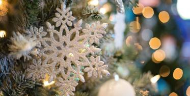 Božićno-novogodišnji koncerti od 15. do 28. decembra u Novom Sadu