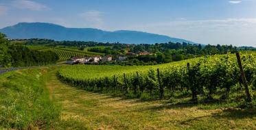 Proseko na Uneskovoj listi svetske baštine