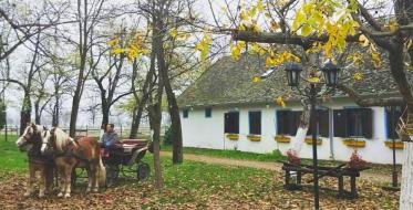 Duša vojvođanske jeseni - Svakog petka novi predlog za sadržajan odmor u Vojvodini