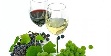 Festival šumadijskih vina 10. juna u Topoli