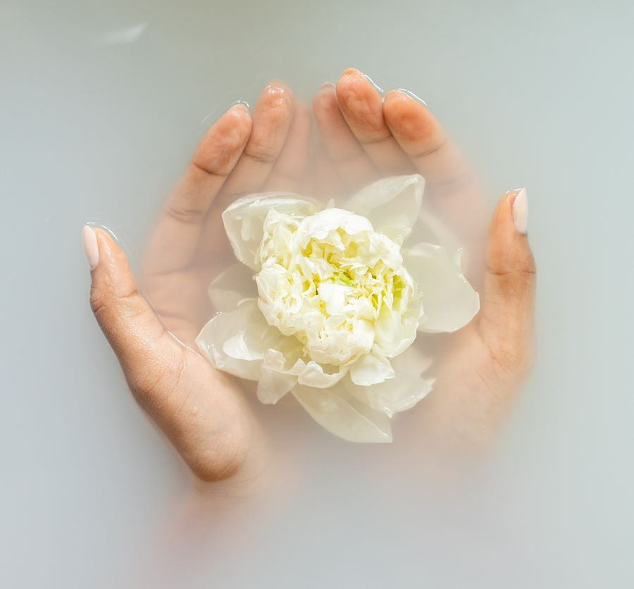 Photo by Monstera: https://www.pexels.com/photo/gentle-woman-with-flower-in-hands-6621182/