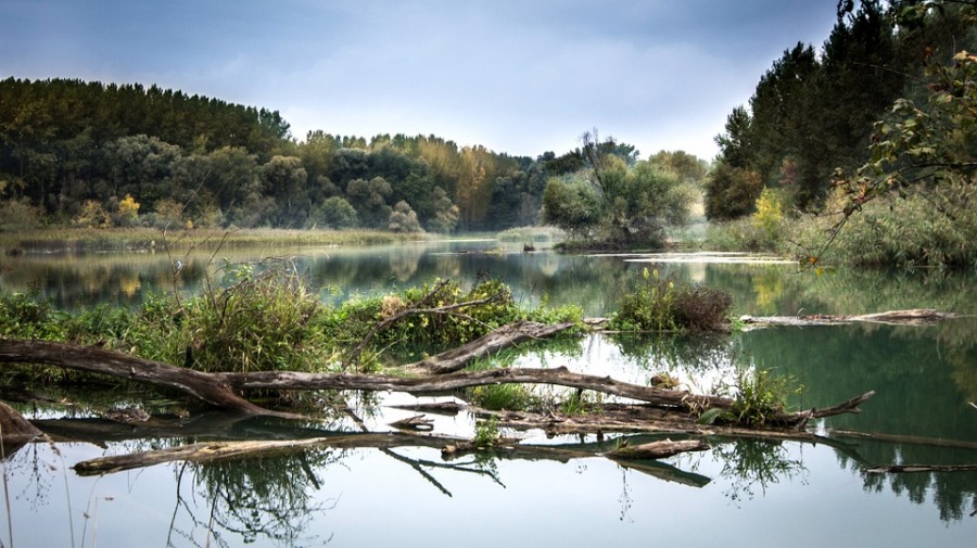 'Evropski Amazon' - Podneta nominacija Unesku za rezervat biosfere „Mura-Drava-Dunav“